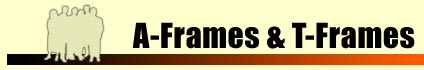 your one stop image shop